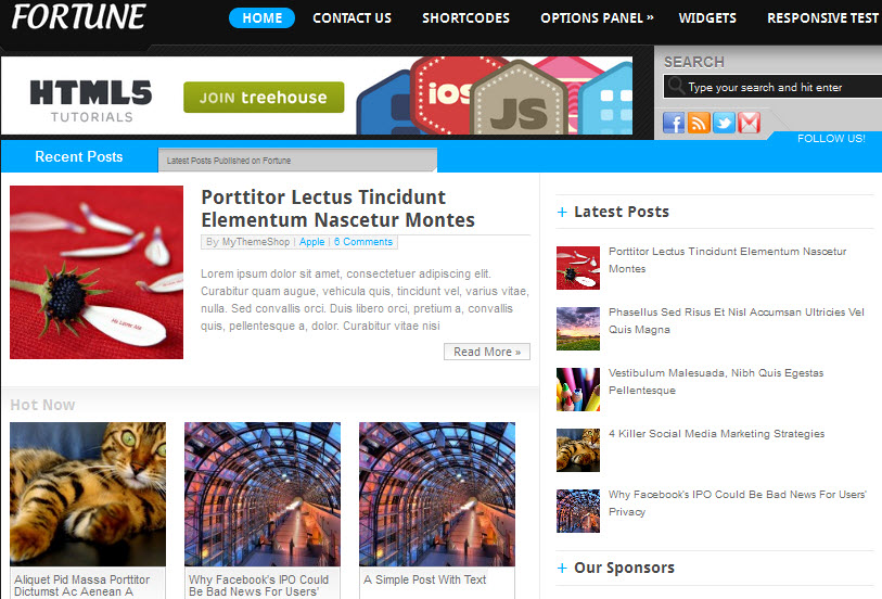 Fortune Adsense Theme