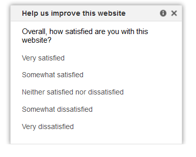 Example of Google Consumer Survey