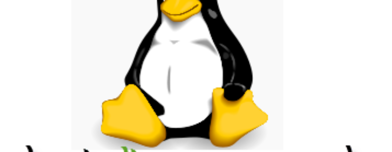 Basic Linux commands