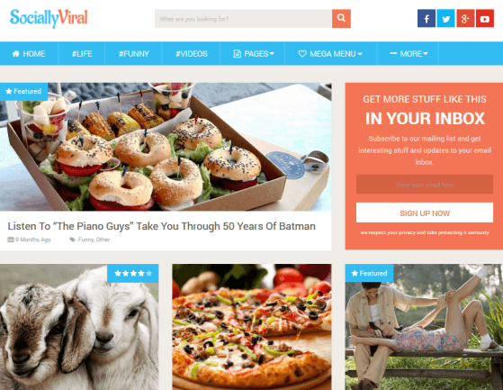 SociallyViral responsive WordPress Theme